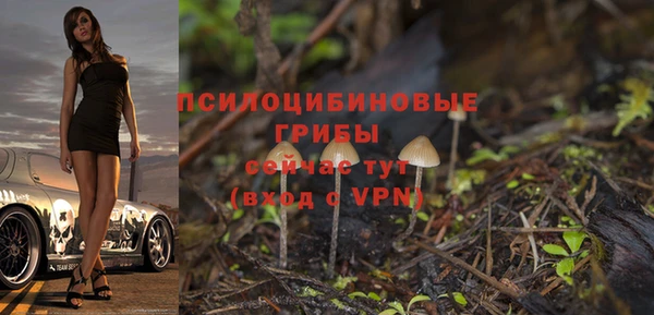 мескалин Алексин