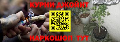 сатива Ростов-на-Дону