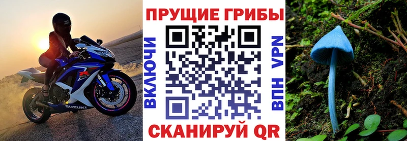 Псилоцибиновые грибы GOLDEN TEACHER  Богородск 