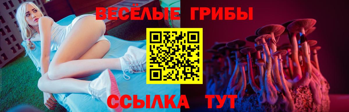 Галлюциногенные грибы GOLDEN TEACHER  наркошоп  Богородск  Галлюциногенные грибы GOLDEN TEACHER  Вход с VPN 